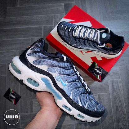 Nike Air Max Plus - Dark Obsidian